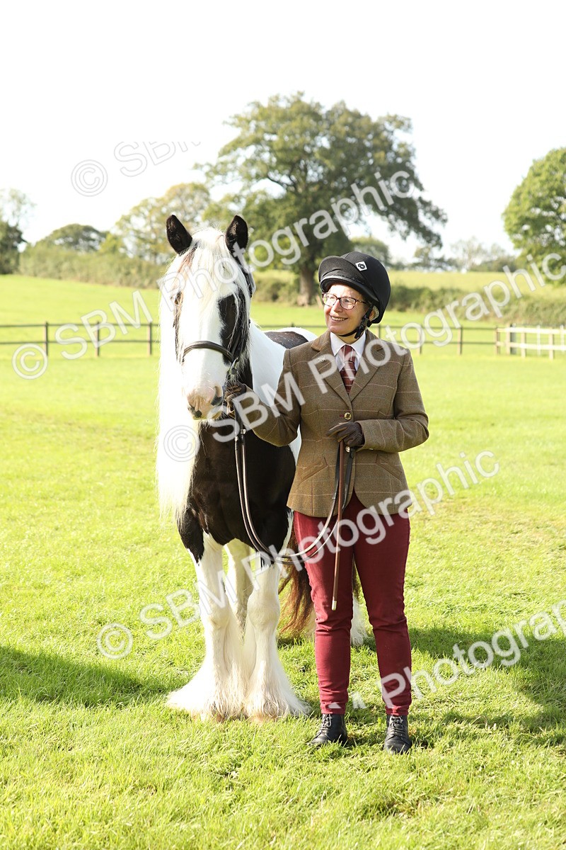 SBM_61013 - S43 - Coloured Pony In Hand