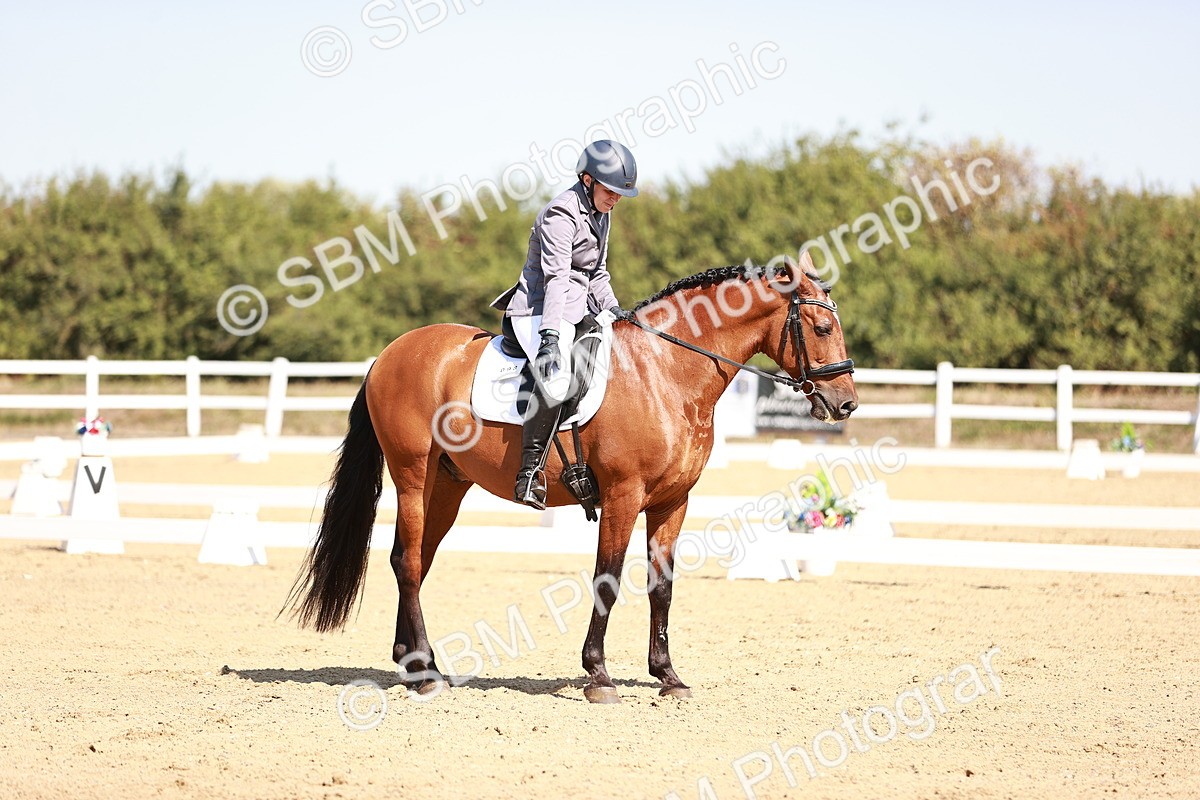 SBM_004517 - Class 12 - Novice 5 - 10.31-11.41