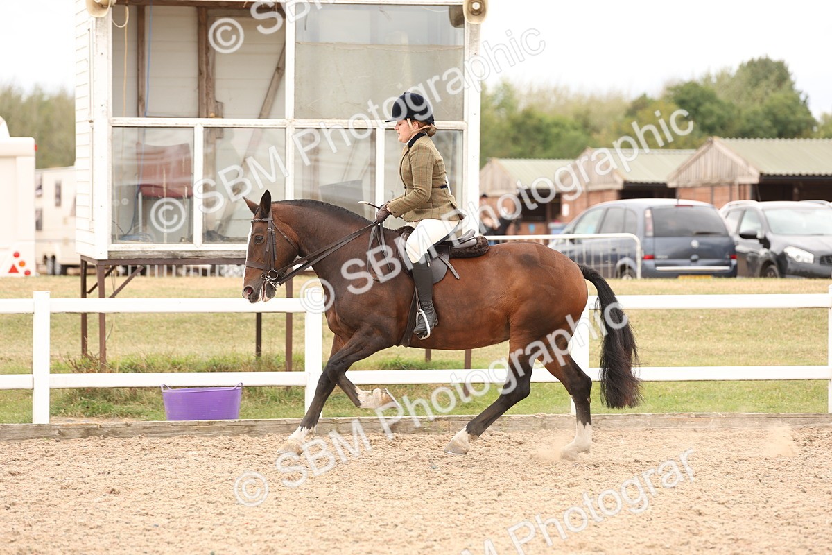 SBM_19568 - Class 215 - Ridden Show cob