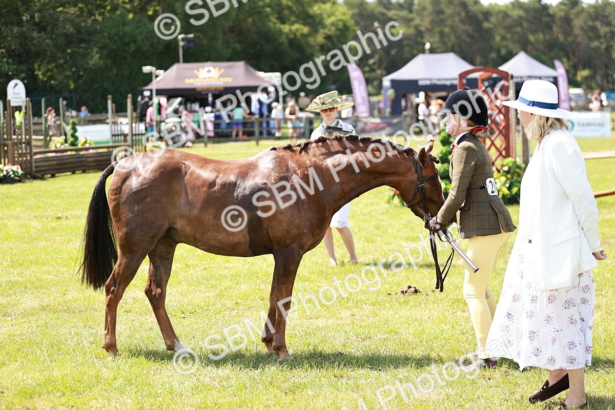 SBM_15604 - Class 108-109 - BSPS LIHS Open Gradle & Nursery Stakes