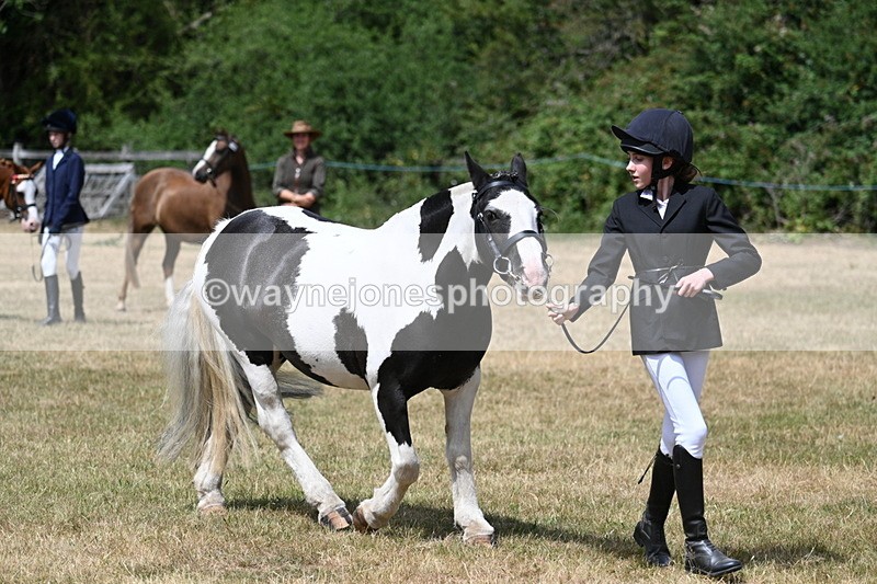 WJ7_1710 - Class 4 Prettiest Mare up to 14.2hh in hand
