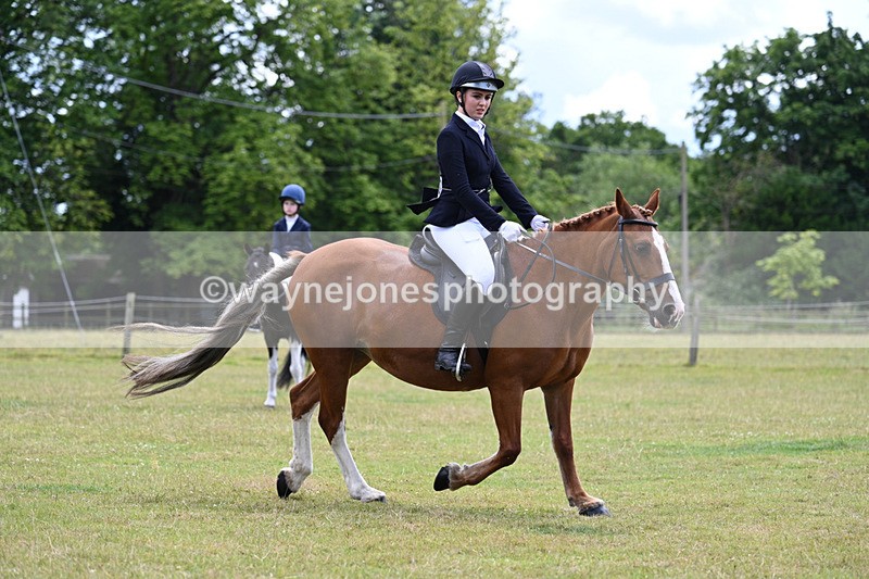 WJ7_9495 - Class 8 Ridden Veterans