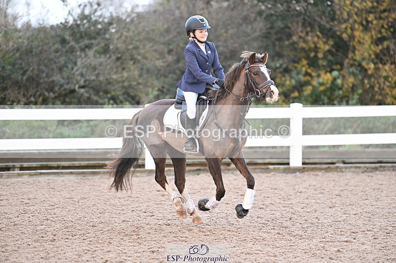 231119A-083648-04148 - Sun Cls 2 British Novice & 80cm Open