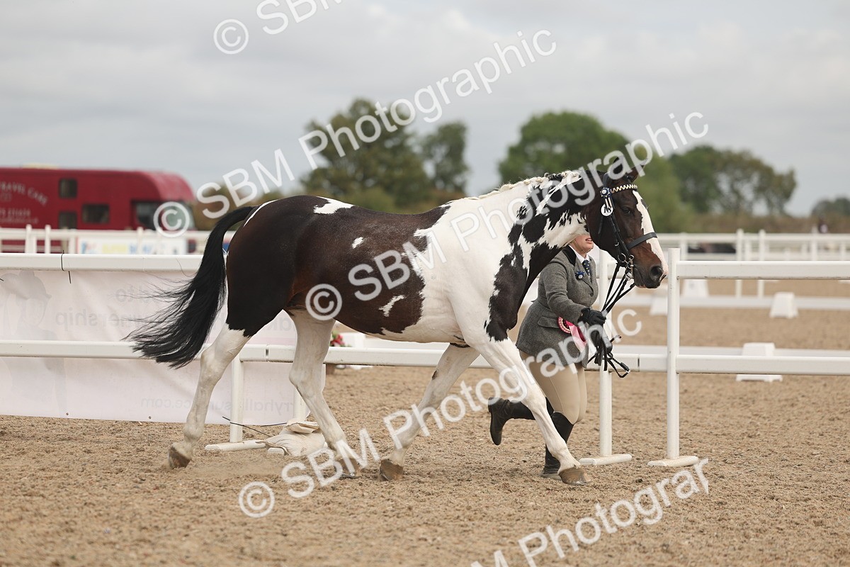 SBM_02159 - Class 15 - IH Coloured