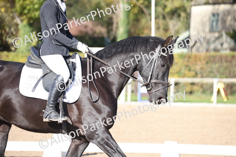 20251102-0758 - Class 4 - Novice 6