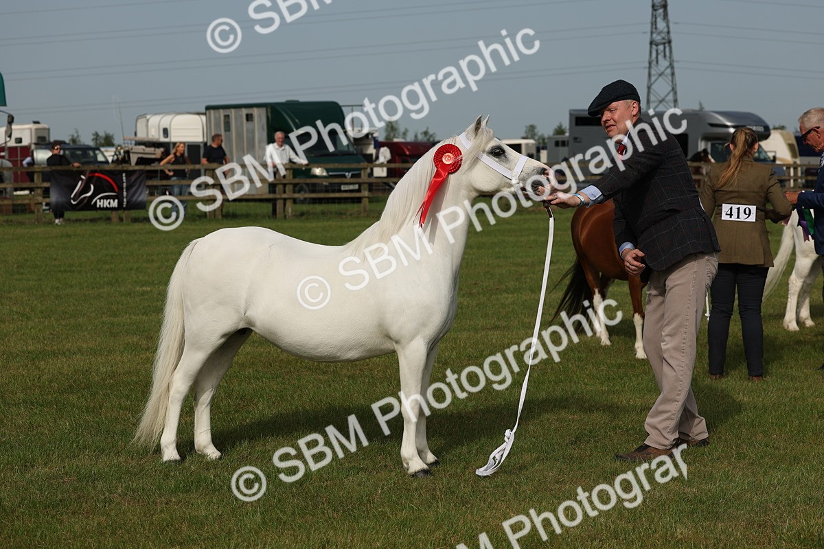 SBM_00584 - Class 6-13 - Mountatin and Moorland In Hand Welsh Breeds