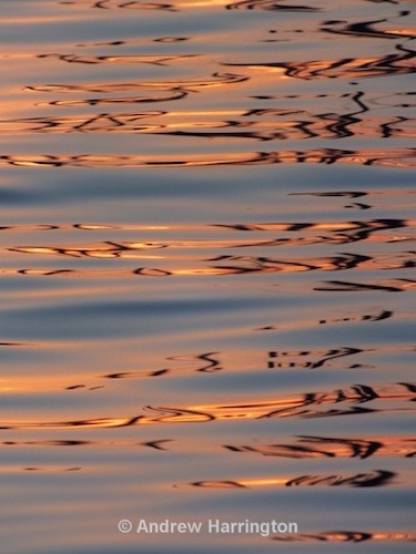 calm - Photos 1