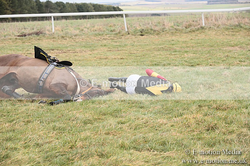 PtP 230119 67 - Royal Artillery Point-to-Point  - Larkhill  - 26/01/19
