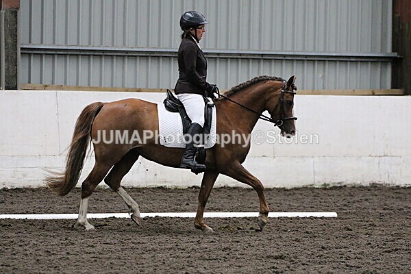 SIAL4261 - CAbin Dressage 5th july 2025