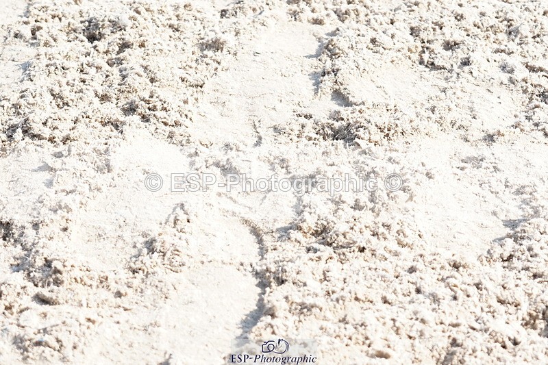 250420A-100208-00214 - Cls 02 70cm