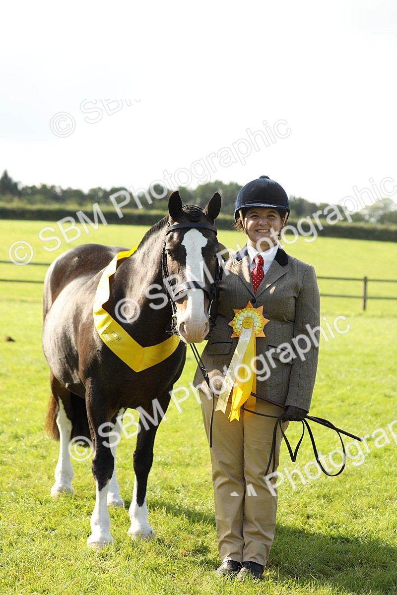 SBM_62358 - S45 - Mini Show Cob In Hand