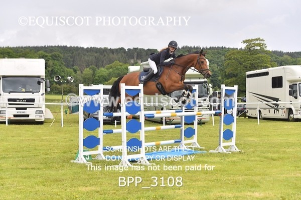 BPP_3108 - CLASS 2 SENIOR FOX/1.20M OPEN