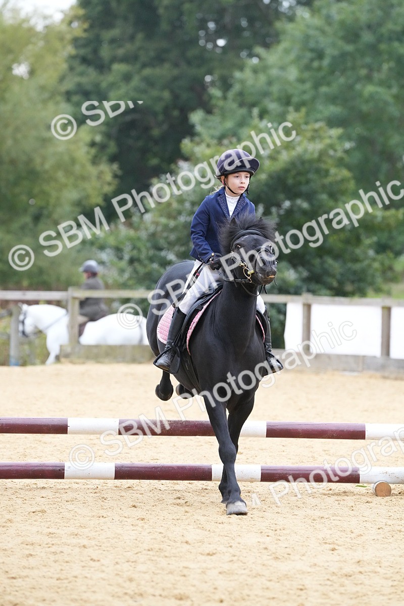 SBM_74556 - J4 - Mini Tour Junior Pony 45cm Championship