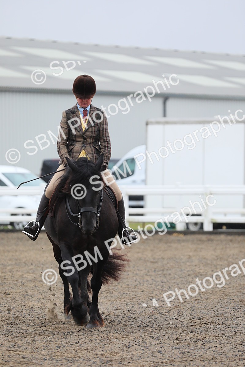 SBM_20308 - Class 803 - Ridden Combination 65+