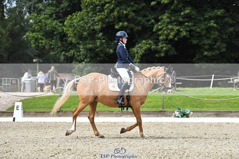 230812-123830-04163 - Cls 6 Novice Silver 12.10 to End