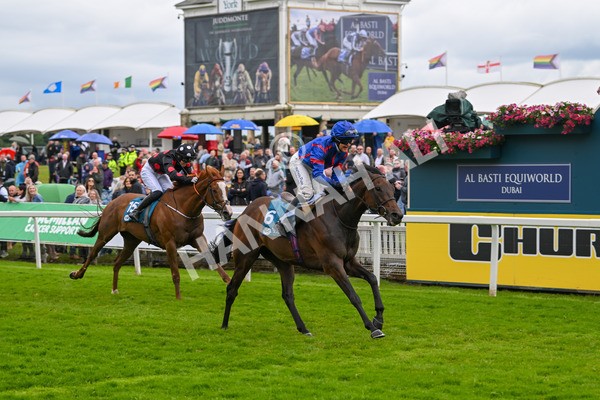 150624-Race 1-Lord Melbourne-6732 - Race 1 1.50pm Queen Mother's Cup Handicap