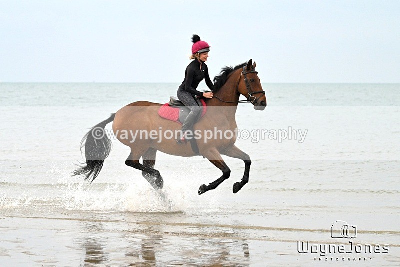 WJ7_8976 - Hayling Island Beach Shoot 22-09-24