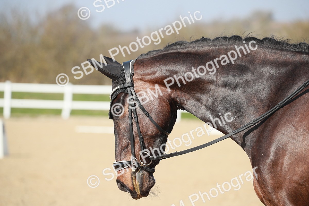 SBM_008391 - Class 22 - Medium 6