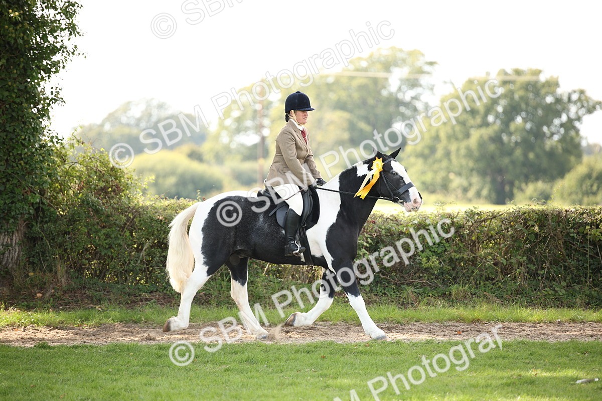 SBM_70164 - S65 - Piebald & Skewbald Horse Ridden