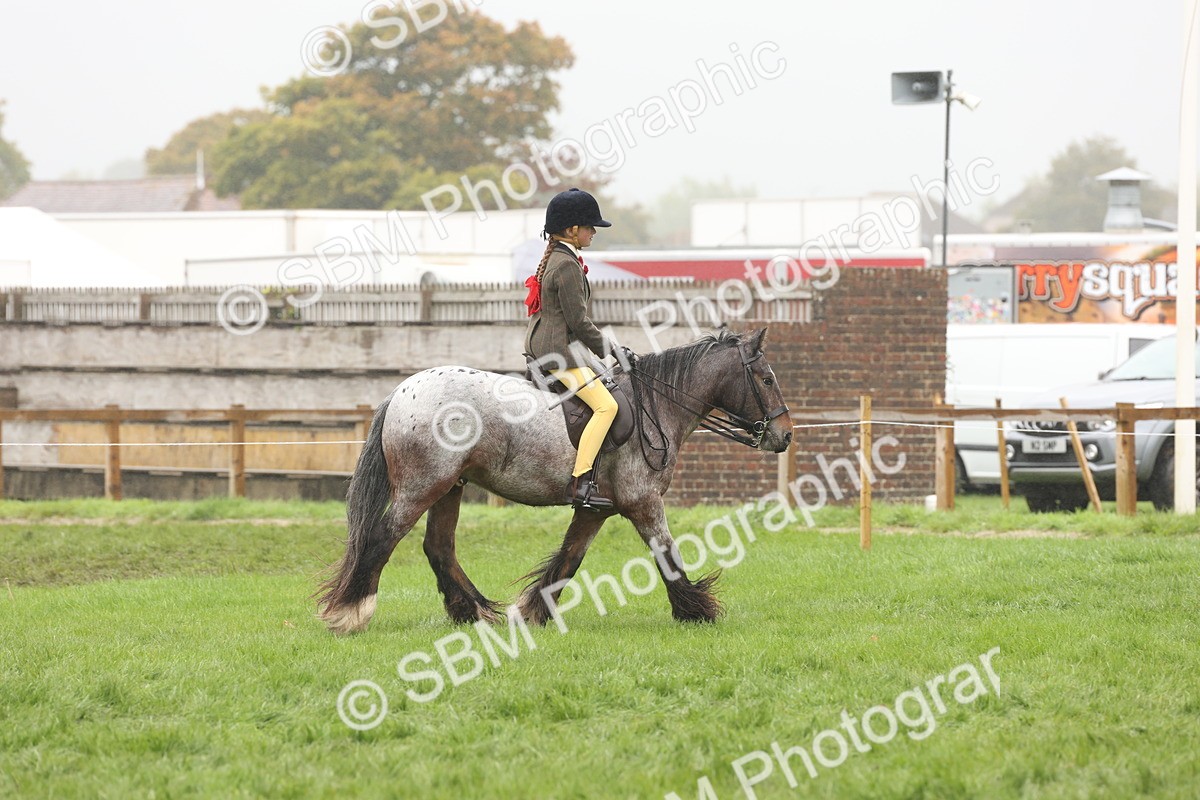 SBM_72833 - S70 - Traditional Cob Ridden