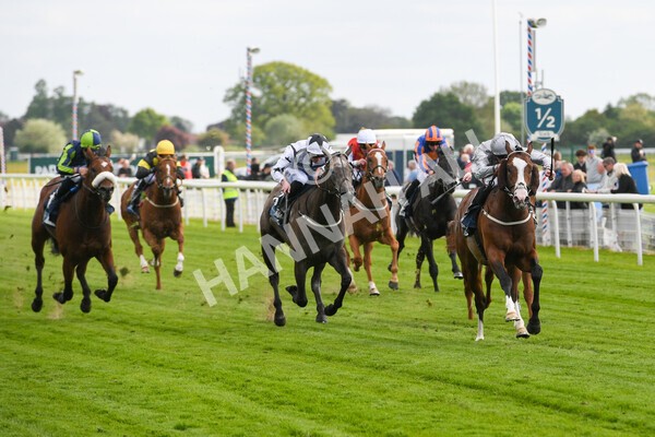 yr12052022r5-10 - Race 5 4.10pm British Stallion Studs EBF Westow Stakes
