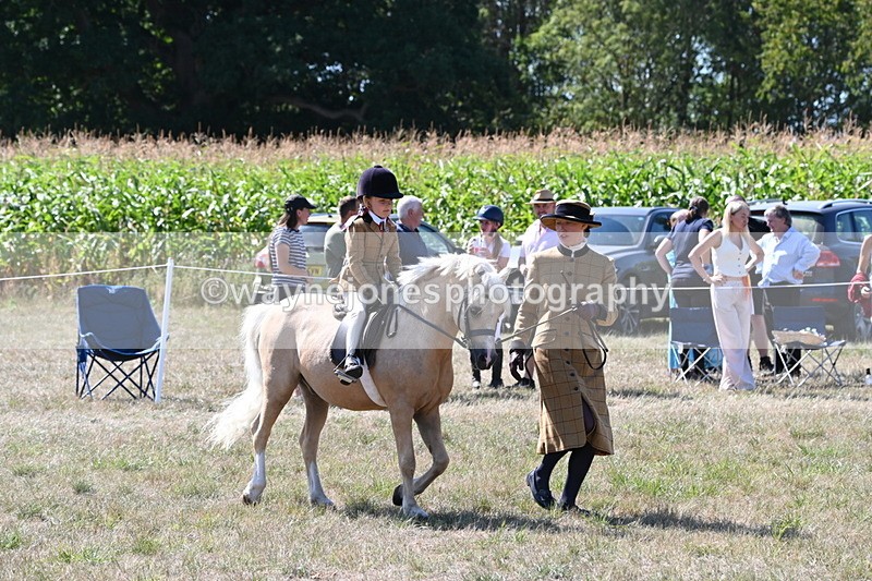 WJ6_8048 - Class 36 Lead Rein