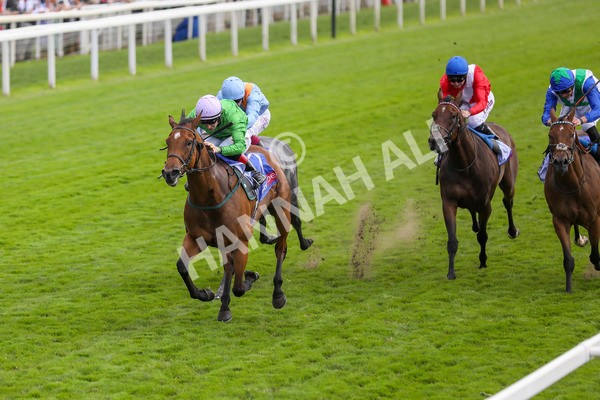 240824-Race 3-Breege-8970 - Race 3 3.00pm Sky Bet City Of York Stakes
