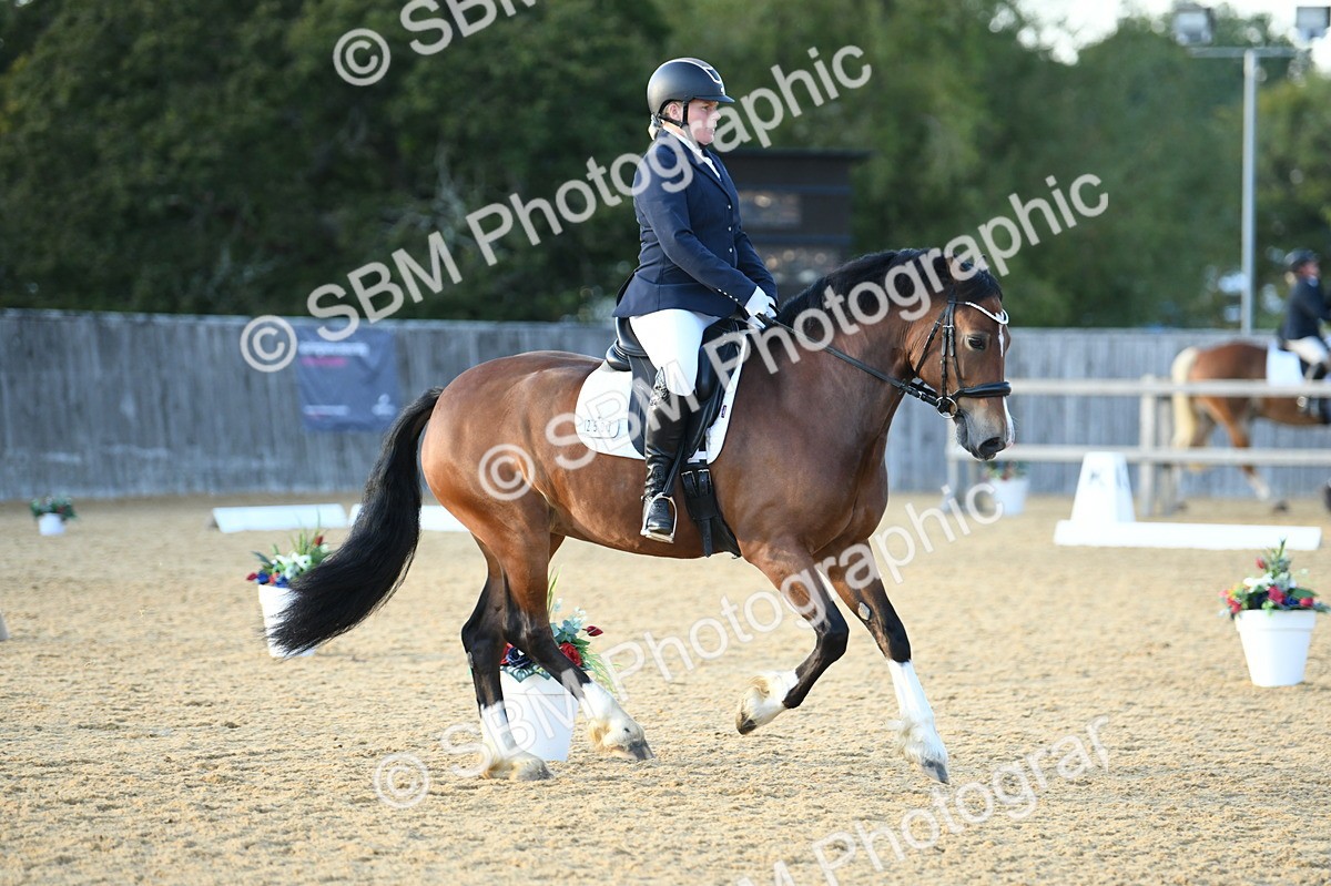 SBM_30934 - D16 - Small Tour Championship - Novice 28