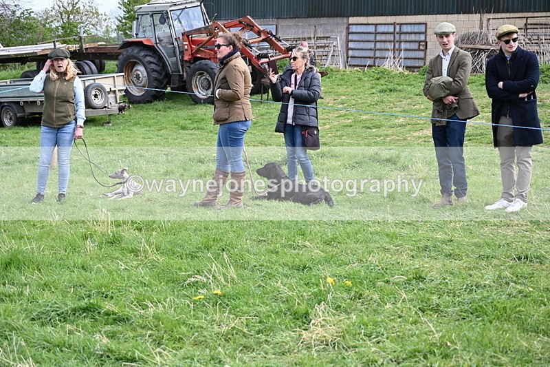 WJ6_8779 - Class 8 Best Working / Gun Dog or Bitch