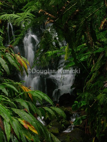 Hidden Falls - Hawaii
