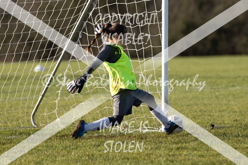 1DX30740 - 2026-01-17 FC Abbey Meads U9 Purple Girls V Develop FC U9 Girls