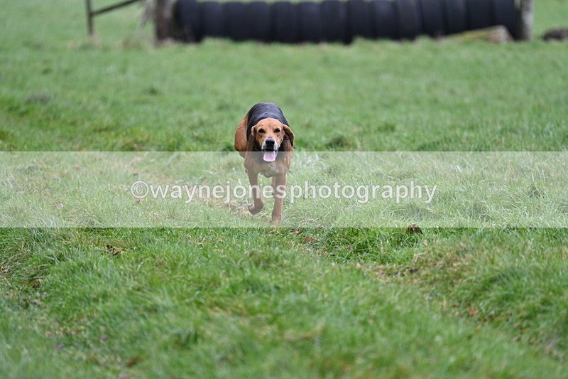 WJ7_1755 - Camera A