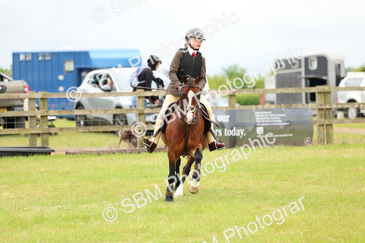 SBM_10308 - Class 44-45 - LIHS BSPS Open Nursery and Cradle Stakes