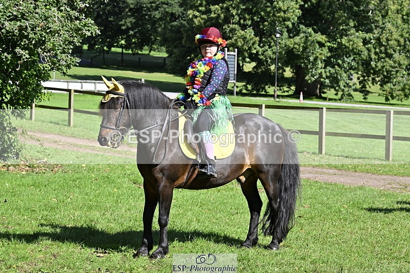 240728B-095103-00213 - Sunday Stable Shots and Fancy Dress