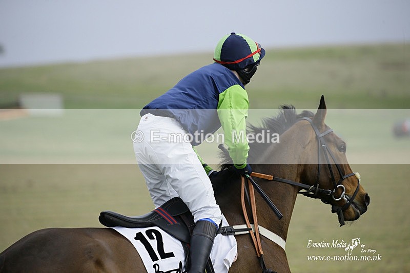 PtP 200222 299 - Countryside Alliance PtP Badbury Rings 20/02/22