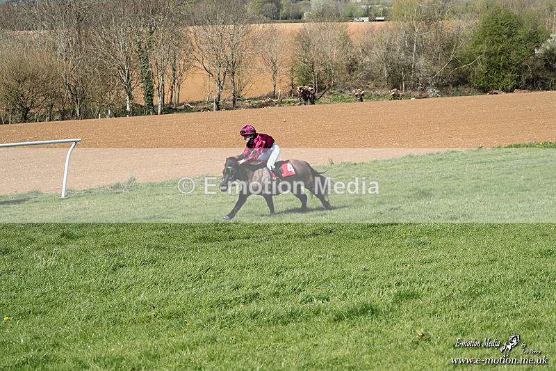 Shet 060426 187 - Shetland Pony Racing Paxford Races Easter Mon 06/04/26