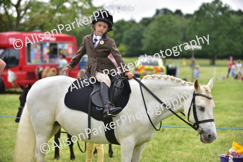 20260614-4230 - Class 17 - Best Mane and Tail