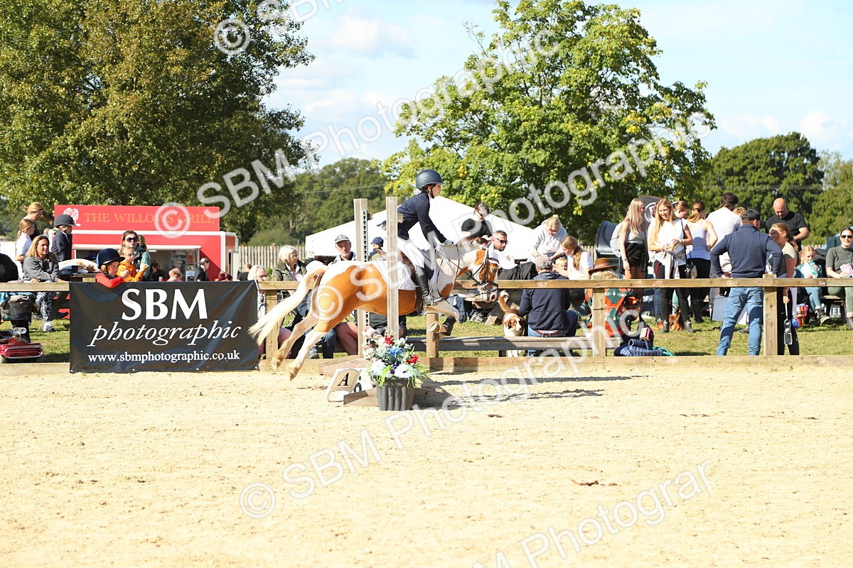 SBM_39345 - J6 - Junior Pony 55cm Championships