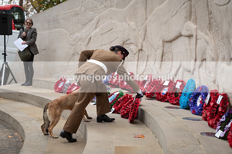Z62_4662 - Animals In War Memorial 2025 - Park Lane, London