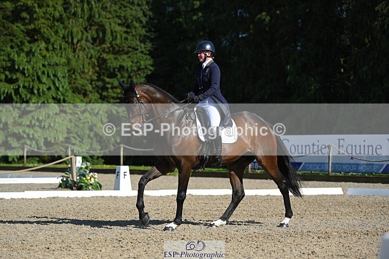 230526-172339-07590 - 263-CARWARTHEN_HARRIER-Polly_Muirhead-WEDTrotUp+DR