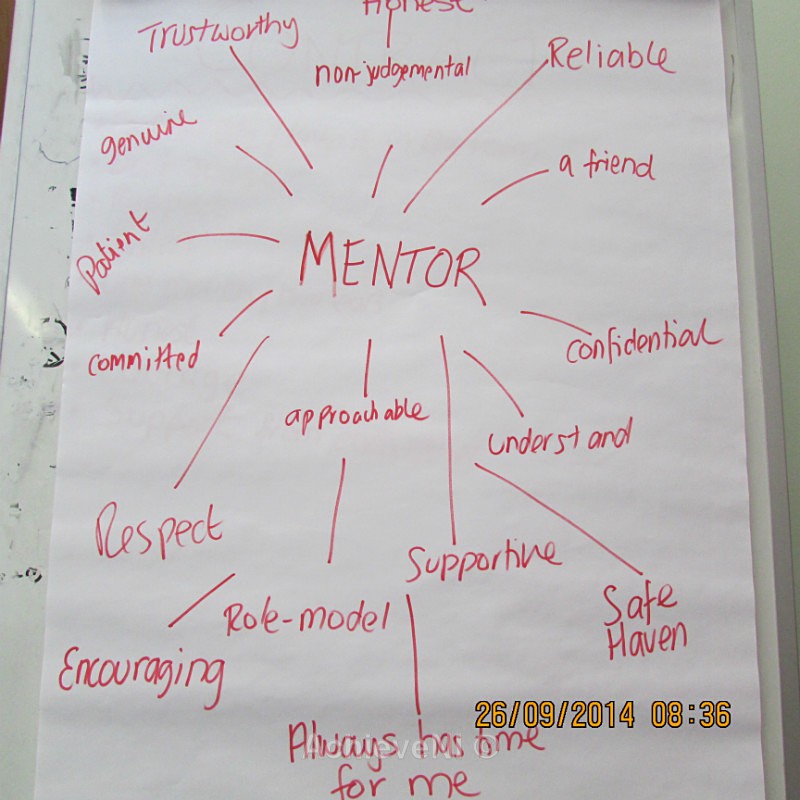  - Peer Mentoring 2014