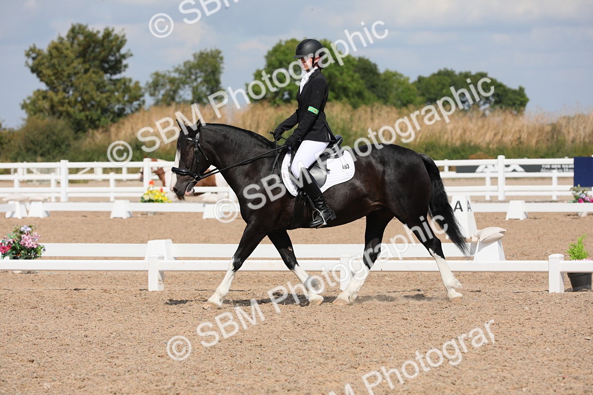 SBM_04168 - Class 31 Prelim 1