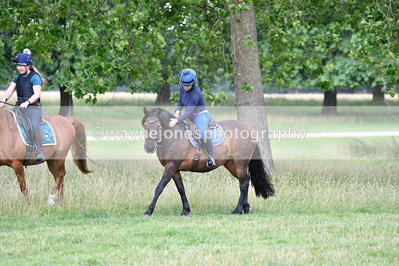 WJ5_2297 - Time at Jump 14:02 to 14:46