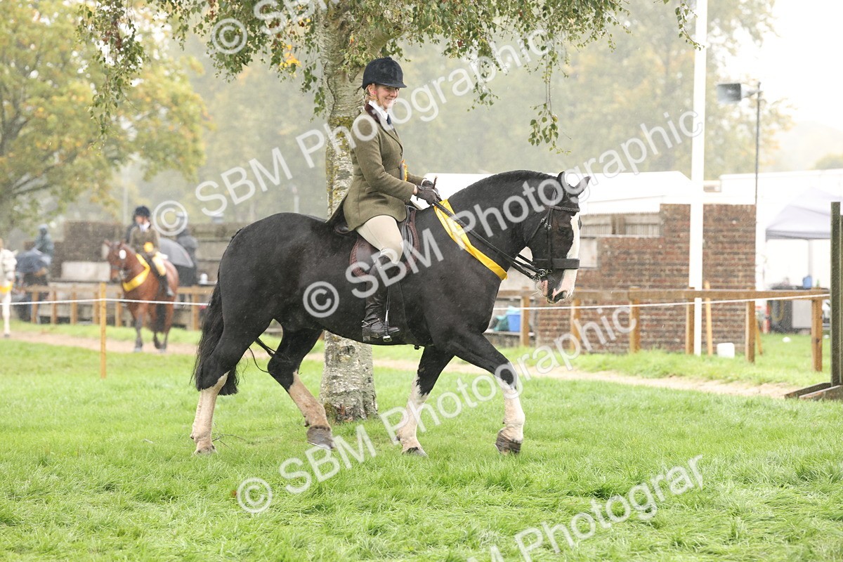 SBM_72897 - Ridden Horse Supreme Championship