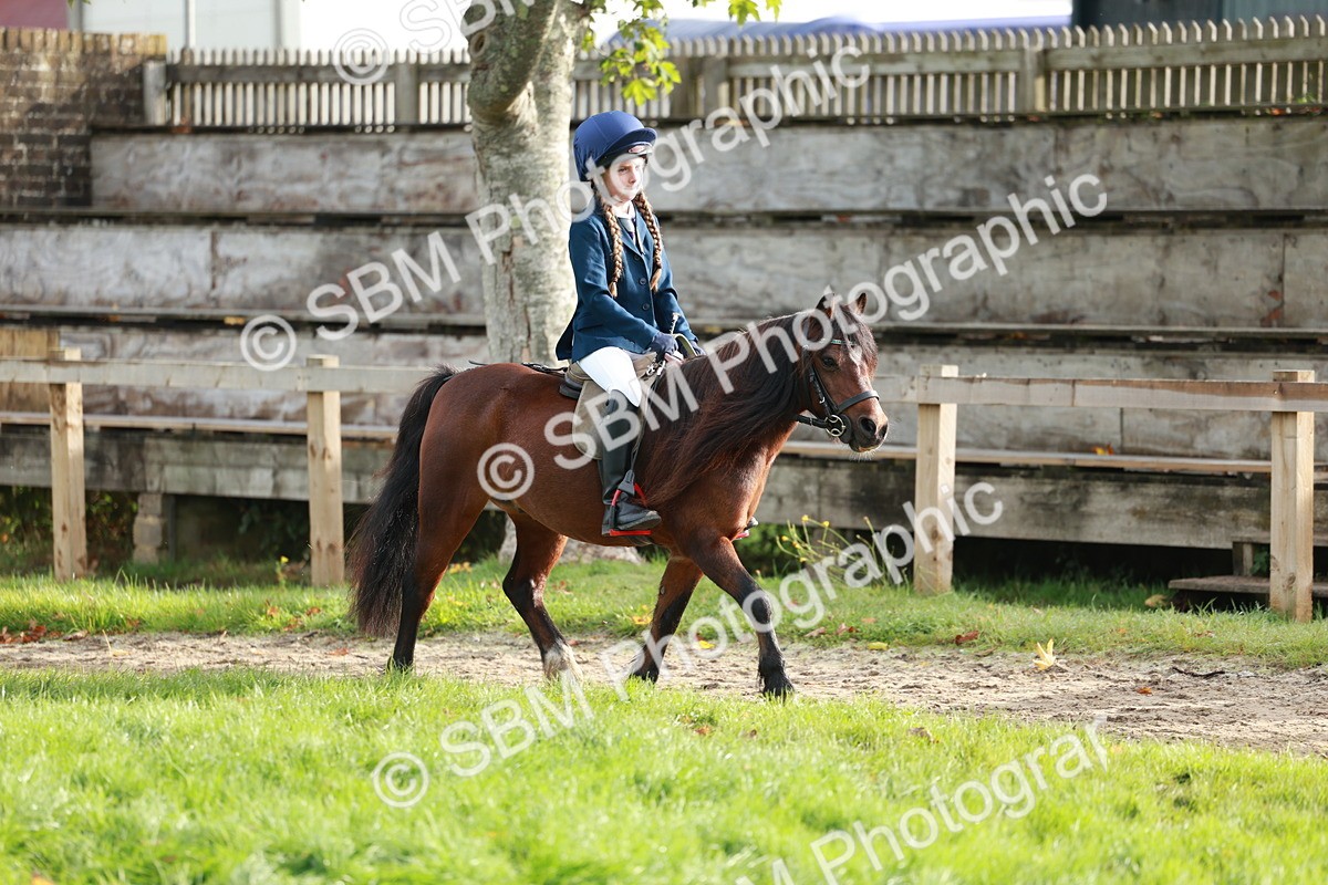 SBM_56387 - S39 - Starters In Hand Showing