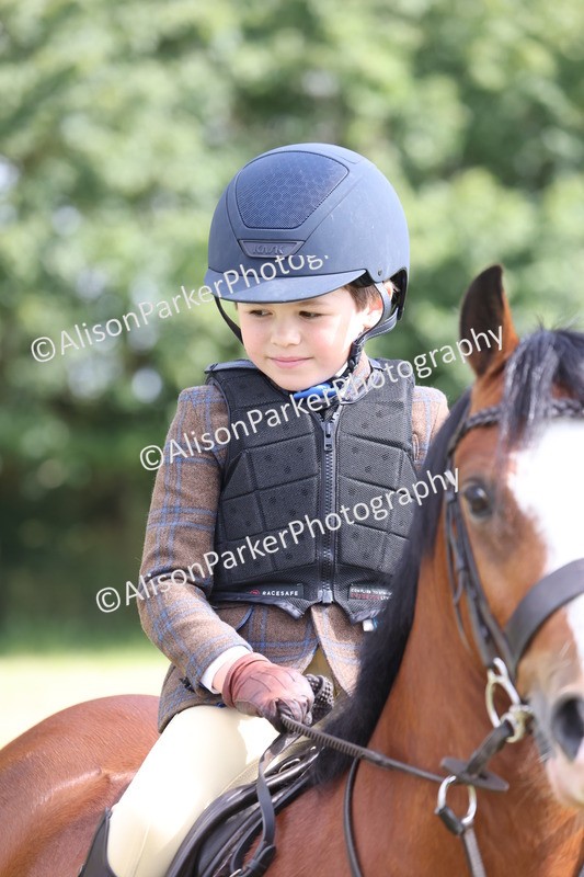20260614-0493 - Class 20 - Beginners Working Hunter Pony
