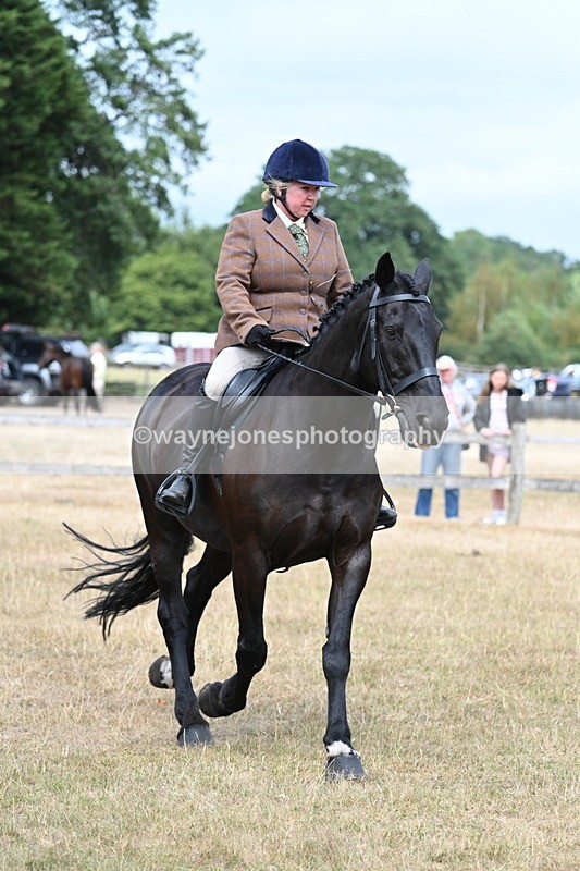 WJ7_1324 - Class 8 Ridden Veterans