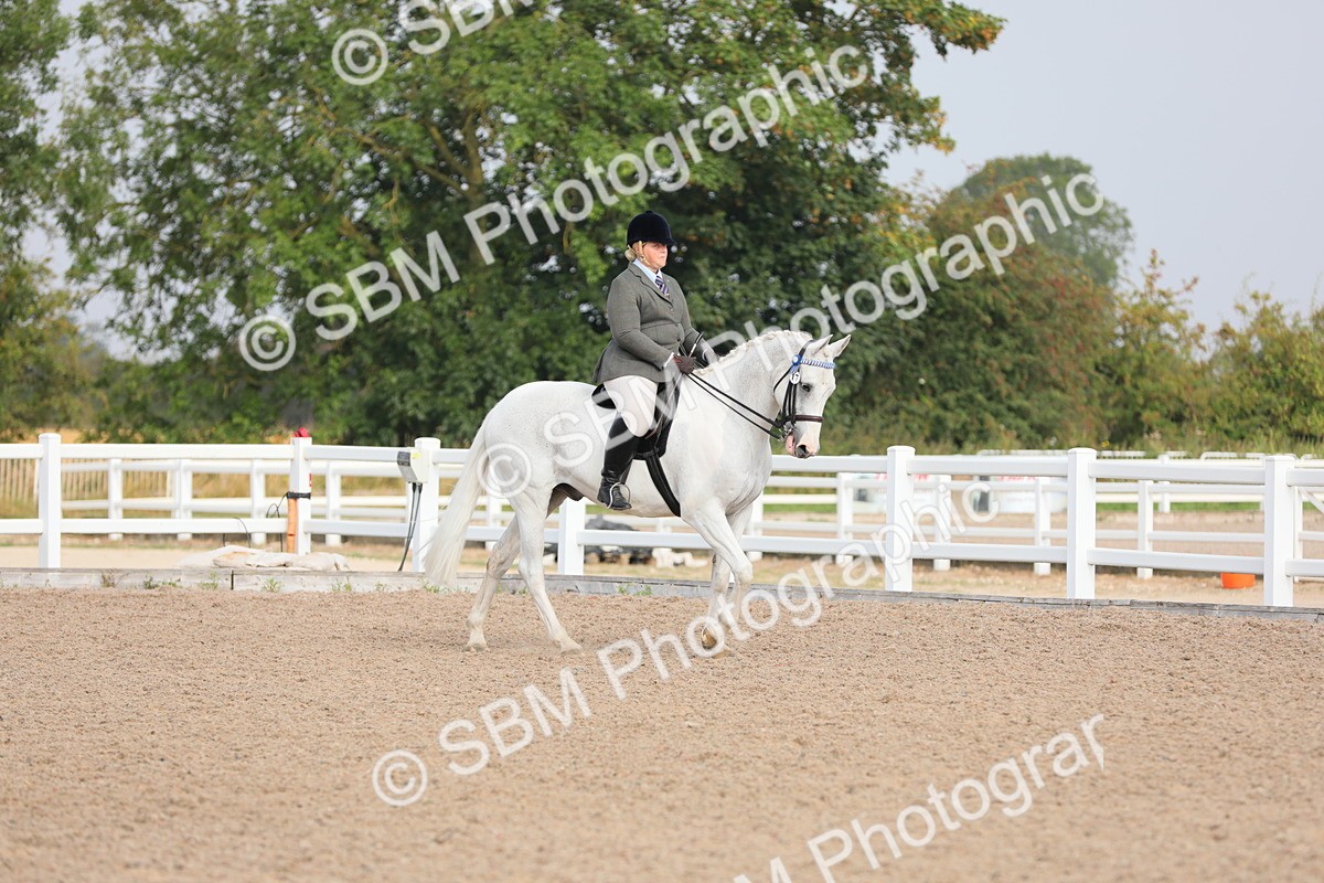 SBM_10849 - Class 304 Ridden Part Bred Horse/Pony