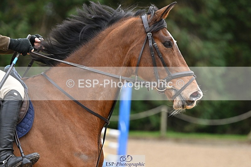 250201A-113856-00475 - Cls 02 Local Horse 100cm