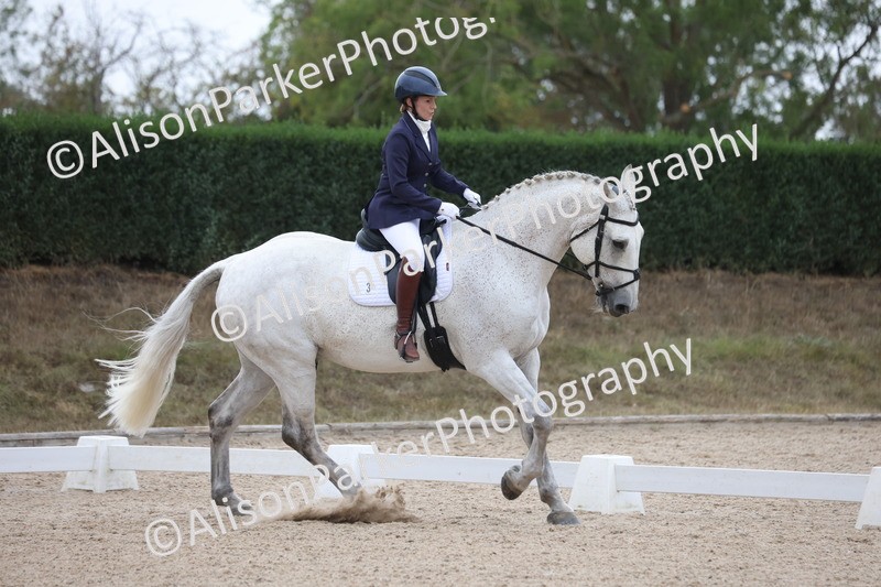 20250820-0317 - Class 11 - My Quest Novice 3